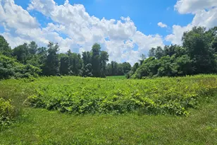 2335 N 33rd St, Galesburg, MI 49053 - Photo 8