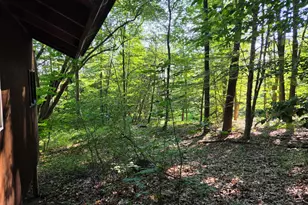 1824 S Pere Marquette Hwy, Ludington, MI 49431 - Photo 72