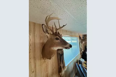 Vl Knute Road, East Tawas, MI 48730 - Photo 80
