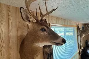 Vl Knute Rd, East Tawas, MI 48730 - Photo 80