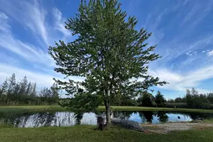 Vl Knute Rd, East Tawas, MI 48730 - Photo 42