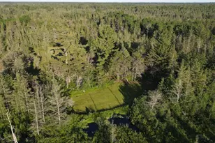 Vl Knute Rd, East Tawas, MI 48730 - Photo 14