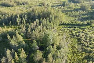Vl Knute Rd, East Tawas, MI 48730 - Photo 18
