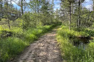 Vl Knute Rd, East Tawas, MI 48730 - Photo 32