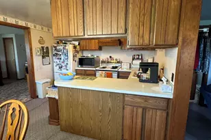 1247 N Steel Rd, Merritt, MI 48637 - Photo 10