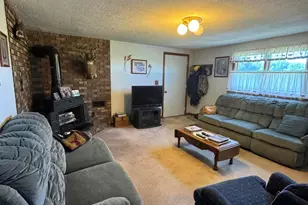 1247 N Steel Rd, Merritt, MI 48637 - Photo 6