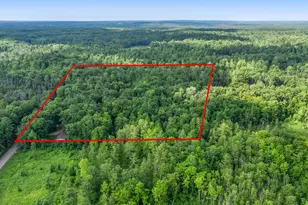 756 N Cottonwood Ave, White Cloud, MI 49349 - Photo 44