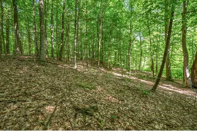 756 N Cottonwood Avenue, White Cloud, MI 49349 - Photo 40