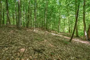 756 N Cottonwood Ave, White Cloud, MI 49349 - Photo 40