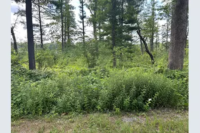 1743 W 68th Street, Baldwin, MI 49304 - Photo 8