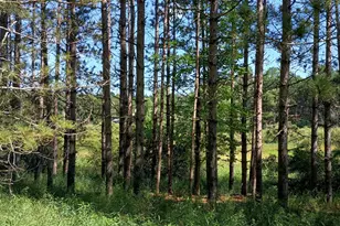 301 S Gordon Rd, Scottville, MI 49454 - Photo 38