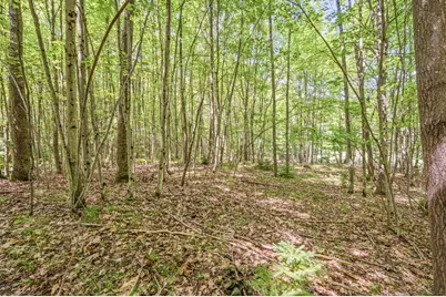 Par 15 W 12 Mile Road, Irons, MI 49644 - Photo 20