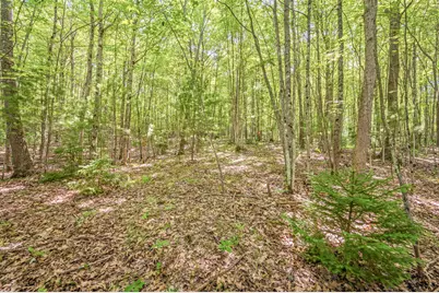 Par 15 W 12 Mile Road, Irons, MI 49644 - Photo 22