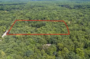Par 15 W 12 Mile Rd, Irons, MI 49644 - Photo 1