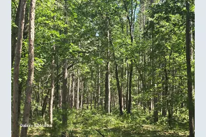 3875 Skocelas Road S, Manistee, MI 49660 - Photo 10