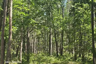 3875 Skocelas Rd S, Manistee, MI 49660 - Photo 10