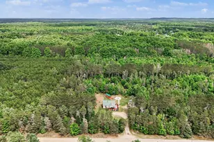 253 S Pine Tree Ln, Beulah, MI 49617 - Photo 36