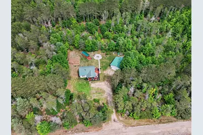 253 S Pine Tree Lane, Beulah, MI 49617 - Photo 6