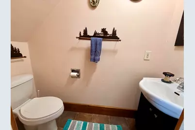 8565 S Mount Hope Road, Marion City, MI 48811 - Photo 18