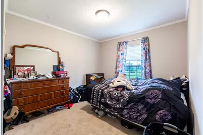 107 10 Mile Road, Union City, MI 49094 - Photo 16