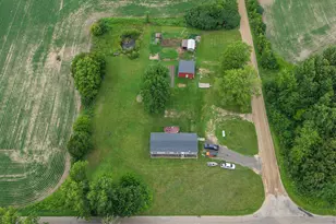 107 10 Mile Rd, Union City, MI 49094 - Photo 30