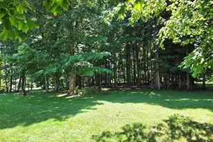 730 Arbogast Rd, Union City, MI 49094 - Photo 28