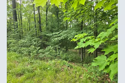 8207 N Hunters Ridge Drive, Irons, MI 49644 - Photo 6