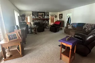 347 Plank Rd, Hudson, MI 49247 - Photo 12
