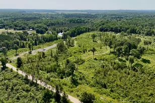 20Ac W Clarence Rd, Harrison, MI 48625 - Photo 1