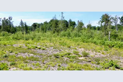 20Ac W Clarence Road, Harrison, MI 48625 - Photo 22