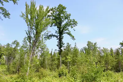 20Ac W Clarence Road, Harrison, MI 48625 - Photo 26