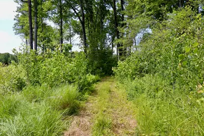 20Ac W Clarence Road, Harrison, MI 48625 - Photo 4