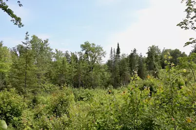 20Ac W Clarence Road, Harrison, MI 48625 - Photo 16