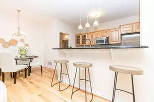 229 Scio Village Ct, Ann Arbor, MI 48103 - Photo 20
