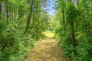 10030 W RS Ave, Mattawan, MI 49071 - Photo 108