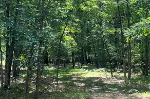 8268 B S Ferris Ave, Newaygo, MI 49337 - Photo 1