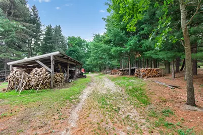 1611 S Williamston Road, Dansville, MI 48819 - Photo 50