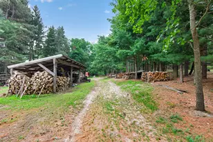 1611 S Williamston Rd, Dansville, MI 48819 - Photo 50