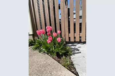 246 Alten Avenue NE, Grand Rapids, MI 49503 - Photo 28