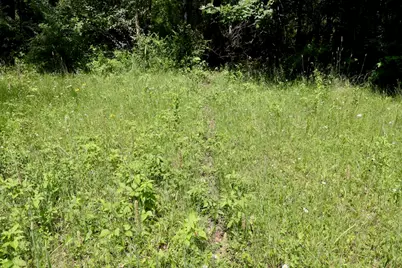 4718 W Church Road, Six Lakes, MI 48886 - Photo 30