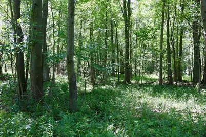 4718 W Church Road, Six Lakes, MI 48886 - Photo 26
