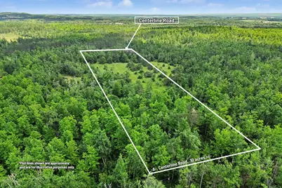 Vl -A- Centerline Road, Mio, MI 48647 - Photo 4