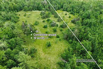 Vl -A- Centerline Road, Mio, MI 48647 - Photo 10