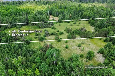 Vl -A- Centerline Road, Mio, MI 48647 - Photo 6