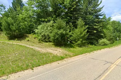Vl -A- Centerline Road, Mio, MI 48647 - Photo 2
