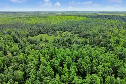 Vl -A- Centerline Road, Mio, MI 48647 - Photo 12