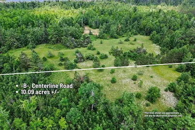 Vl -B- Centerline Road, Mio, MI 48647 - Photo 6