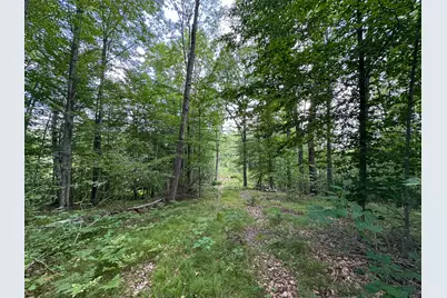 40 V/L 80th Avenue, Rodney, MI 49342 - Photo 12