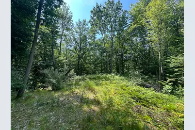 40 V/L 80th Avenue, Rodney, MI 49342 - Photo 14