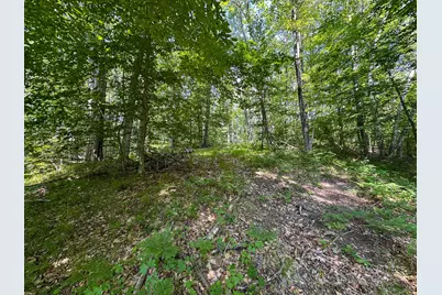 40 V/L 80th Avenue, Rodney, MI 49342 - Photo 20